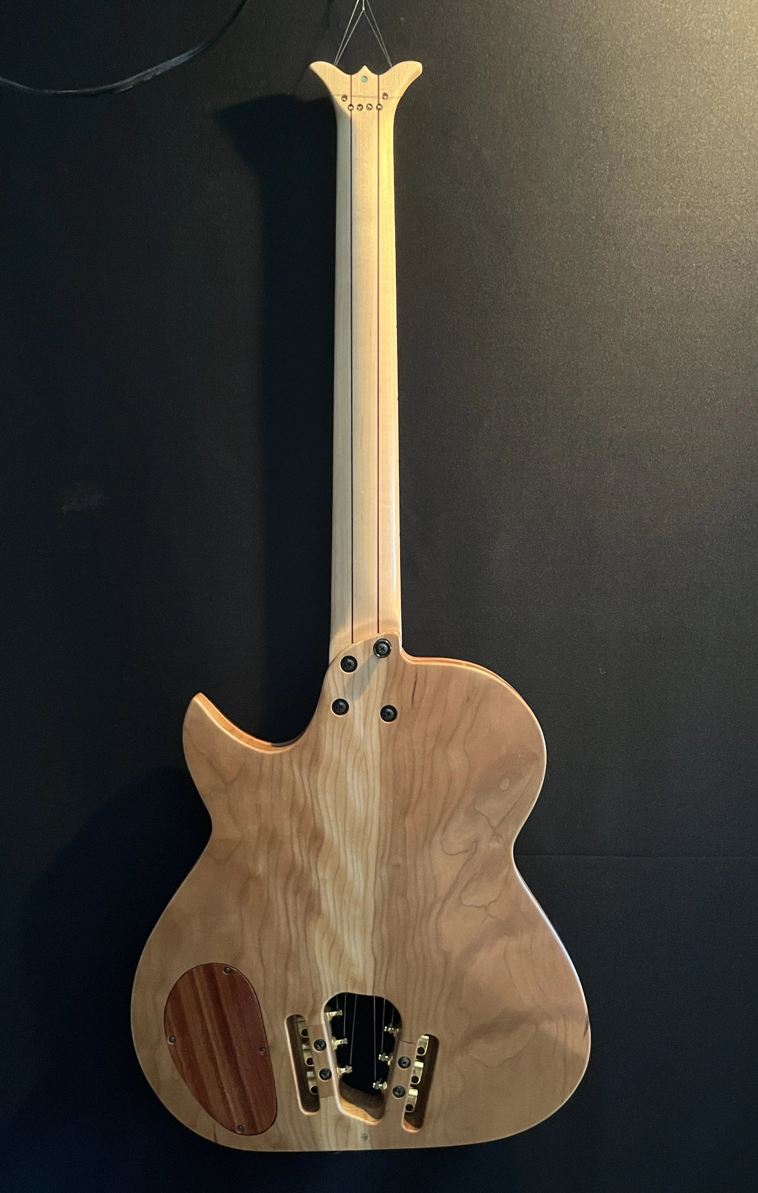 NightCat 3.0 #5350 — Rossco Wright Guitar Builder